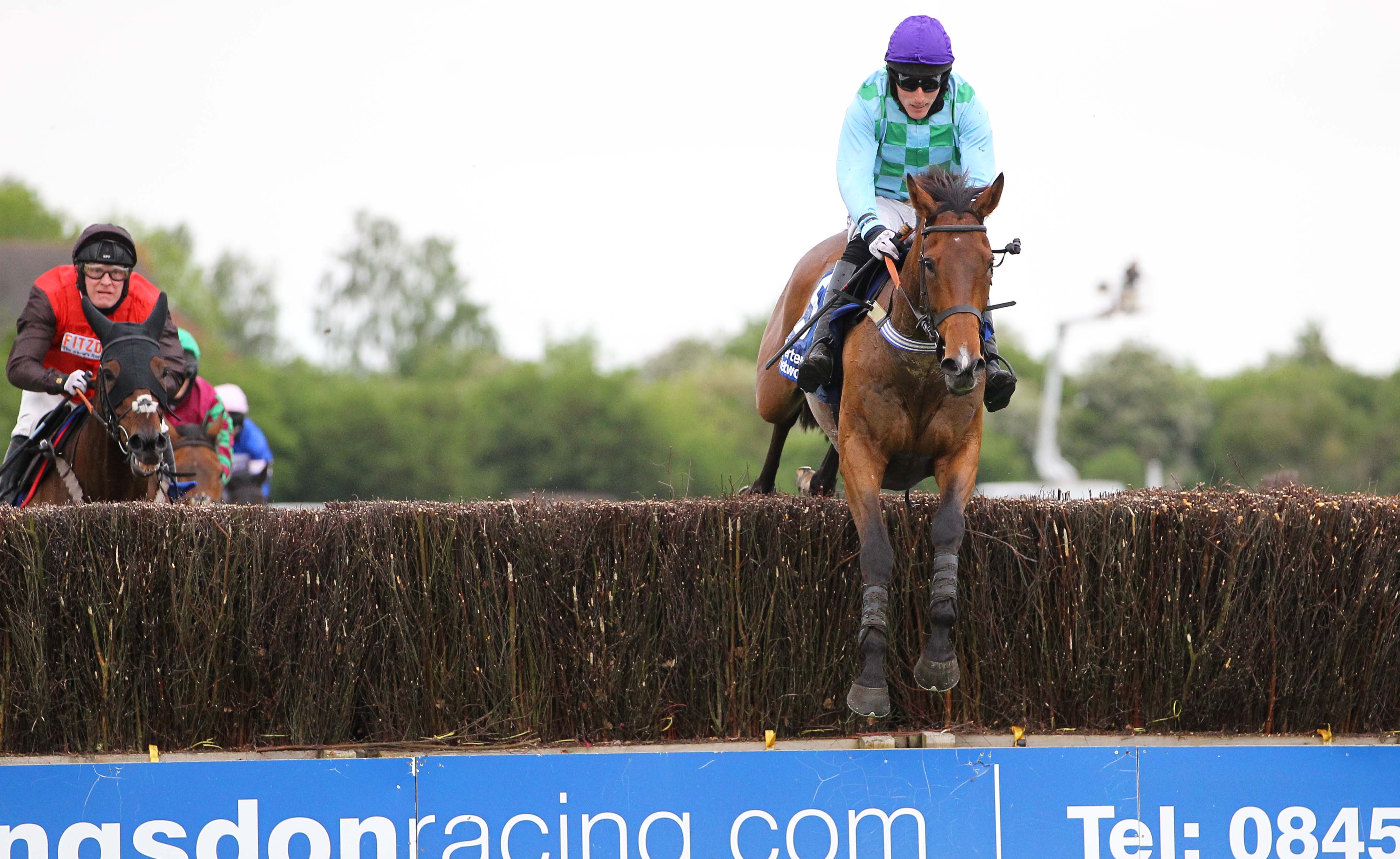 Law of Gold wins the Stratford Foxhunter